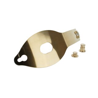 Anal-Lock shield for dildos/plugs